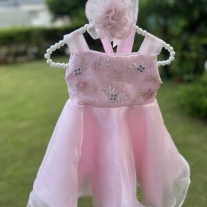 Organza embroidered Dress