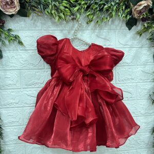 Ruby Red Organza Dress